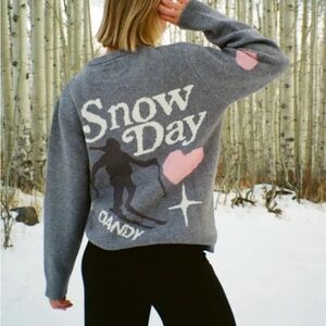 NWT DANDY Worldwide Snow Day Ski Team Sweater Small Soft And Thick Retail $189